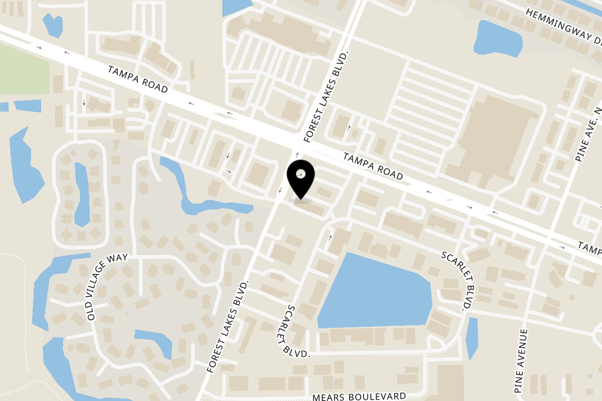 Map showing the location of Desi Tadka Indian Cuisine on 3780 Tampa Rd D2 in Oldsmar